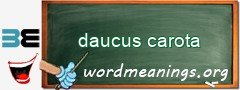 WordMeaning blackboard for daucus carota